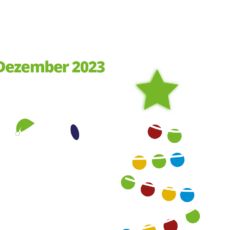 MJN Live beim Regensburger Weihnachtssingen
